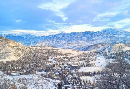 park meadows winter scene