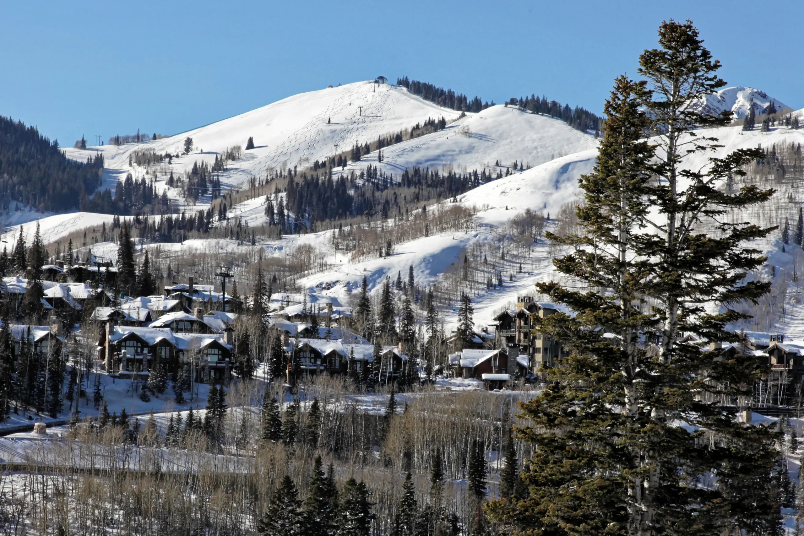 Deer Valley Real Estate For Sale By Property Type